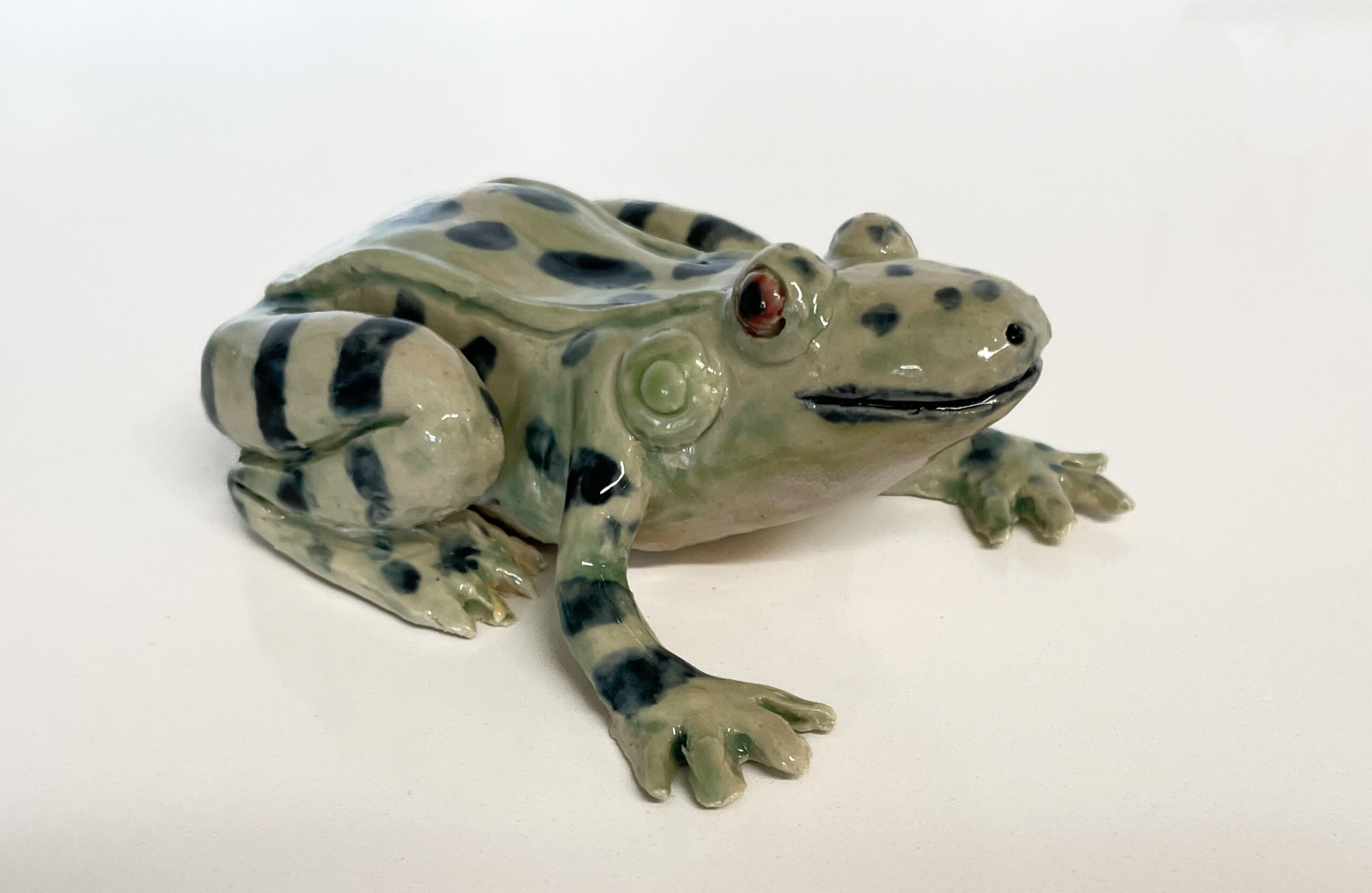 You are currently viewing Glazed Frog