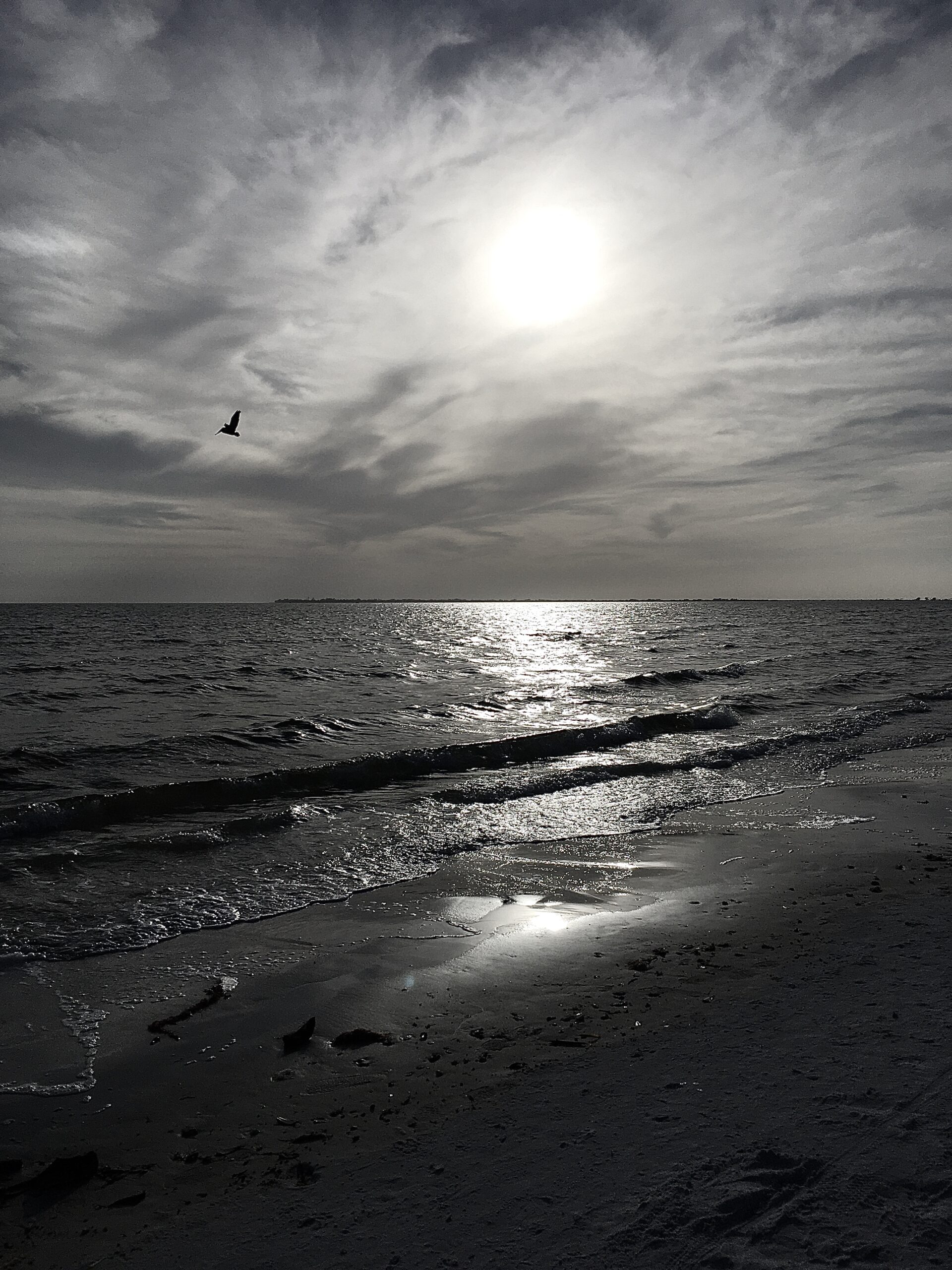 You are currently viewing Outer Banks