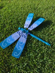 Read more about the article dragon Fly in flight