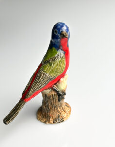 Read more about the article Painted Bunting