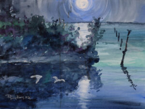 Read more about the article North Canal, Moonlight