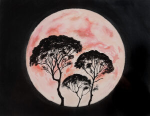 Read more about the article Trees in Moonlight