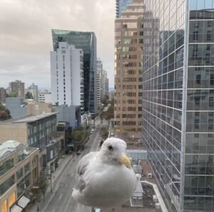 Read more about the article Bird’s Eye View from Vancouver