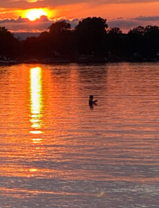 Read more about the article Fishing at Sunset