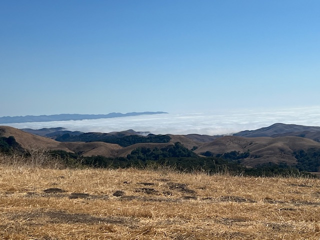 You are currently viewing Above the Clouds