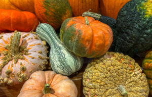 Read more about the article Colorful Pumpkins