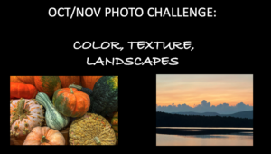 Read more about the article Oct/Nov Photo Challenge: Color, Texture, or Landscape