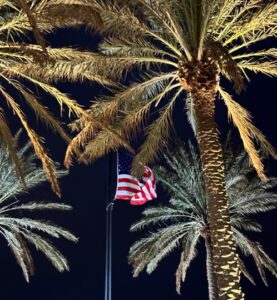 Read more about the article Patriotic Palms