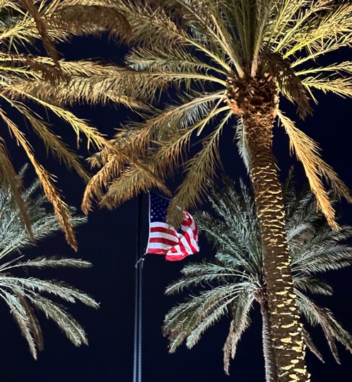 You are currently viewing Patriotic Palms